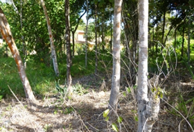 a venda terreno casa vista mar